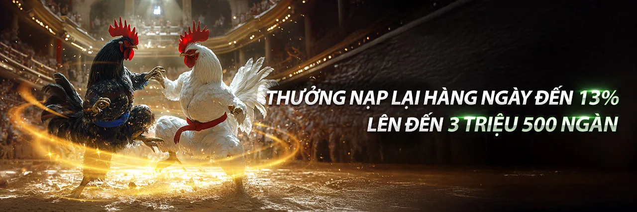 Sân vận động với trận đấu bóng đá sôi động tại 868bet